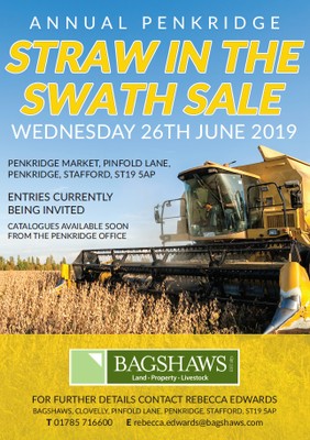 straw-in-the-swath-a3